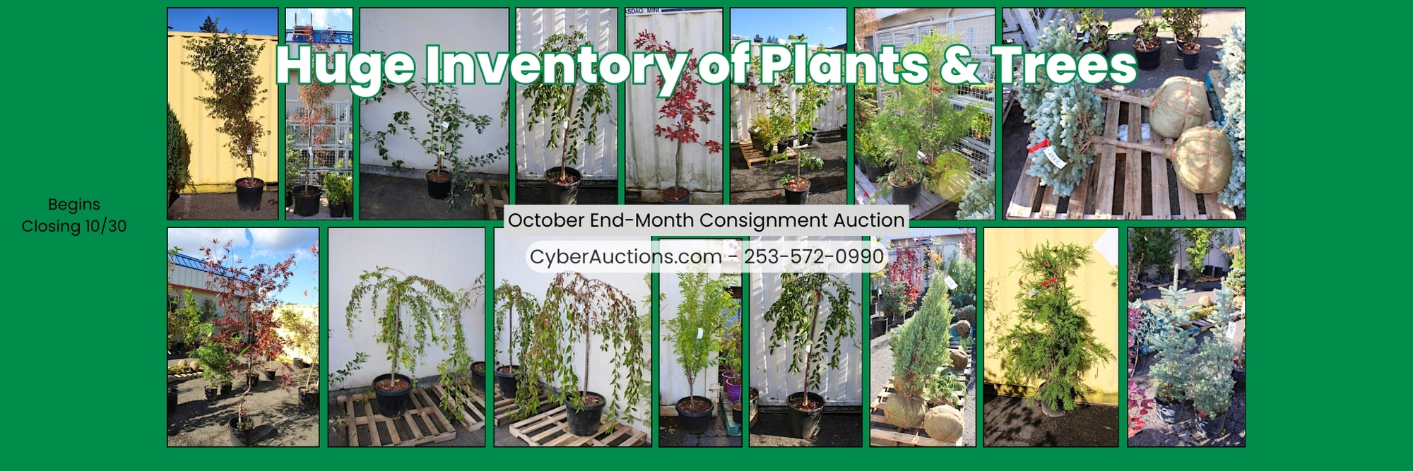 October End Month Consignment Auction (8)